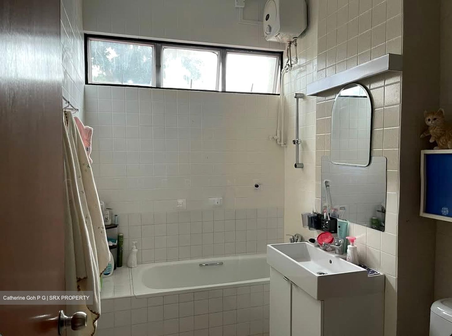Princess Of Wales Park (D10), Semi-Detached #584476891